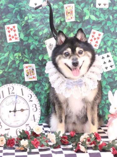 20250420琥太郎くん